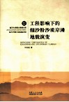 工程影响下的细沙粉沙质岸滩地貌演变 电子书封面