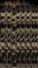 历代名臣奏议  卷之18  郊庙  11 封面