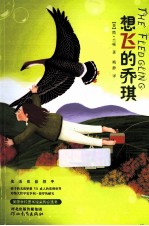 想飞的乔琪 封面