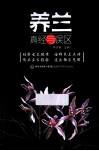 养兰真经与误区 封面
