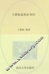 王群航选基金  2013 封面