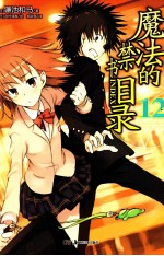 魔法的禁书目录  12 封面