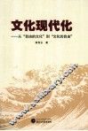 文化现代化 封面
