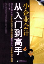 小企业会计从入门到高手  创业中国年度十大杰出会计师栾庆忠教您学习小企业会计准则 封面