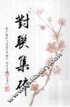 对联集碎 封面