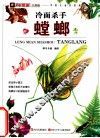 小昆虫大探秘  冷面杀手  螳螂 封面