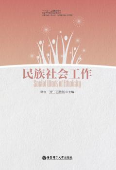 民族社会工作 封面