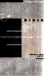 最佳欧洲小说  2011  橙子和天使 电子书封面
