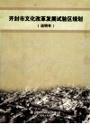 开封市文化改革发展试验区规划  说明书 封面