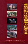 重庆市黔江区首届魅力民营企业 封面