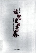 裤兜里的青春 封面