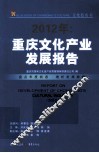 2012年  重庆文化产业发展报告 封面