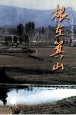 根在箕山  许由与许氏文化研讨文集 封面