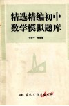精选精编初中数学模拟题库 封面