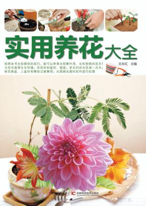 实用养花大全 封面