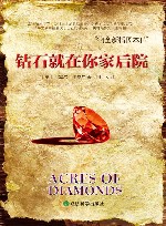 钻石就在你家后院 封面
