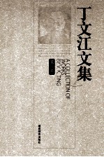 丁文江文集  第6卷 电子书封面