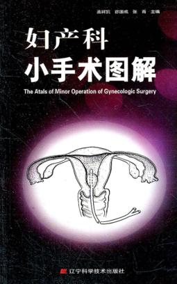 妇产科小手术图解 封面