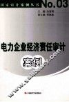 电力企业经济责任审计案例 封面