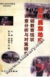 四川民族地区基础教育现状调查分析与对策研究 封面