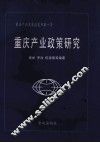 重庆产业政策研究  重庆产业发展蓝皮书第1号 封面