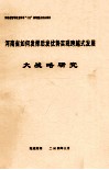 河南省如何发挥后发优势实现跨越式发展大战略研究 封面