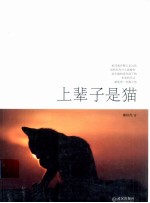 上辈子是猫 封面