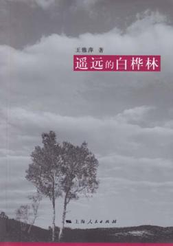遥远的白桦林 封面