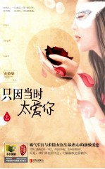 只因当时太爱你  下 电子书封面