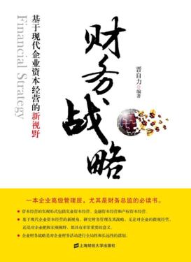 财务战略  基于现代企业资本经营的新视野 封面