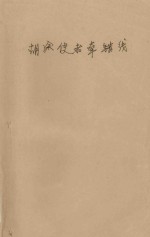 胡涂使者牵错线 封面