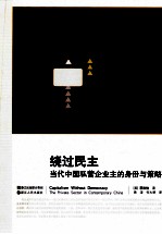 绕过民主  当代中国私营企业主的身份与策略 封面