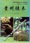 贵州梾木 封面