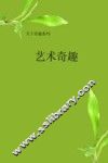 艺术奇趣 封面