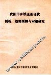 贵阳市乡镇企业现状剖析、趋势预测与对策研究 封面