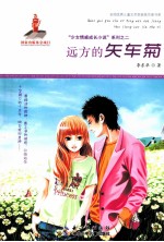 远方的矢车菊 封面