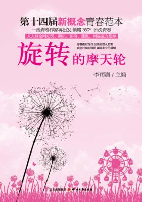 旋转的摩天轮 封面