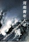 河南青年人才库  卷1 封面