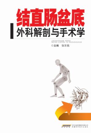 结直肠盆底外科解剖与手术学 封面