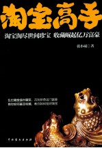 淘宝高手  淘宝淘尽世间珍宝  收藏崛起亿万富豪 电子书封面