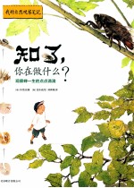 知了，你在做什么？  观察蝉一生的点点滴滴 封面