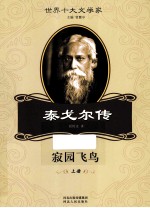 寂园飞鸟  泰戈尔传  上 封面