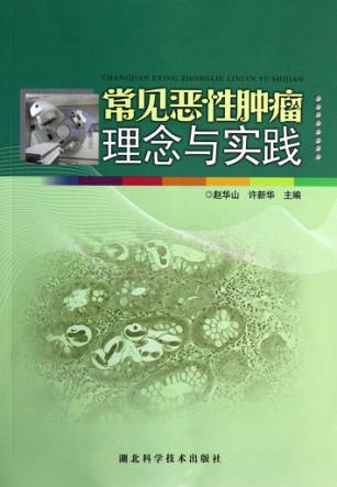 常见恶性肿瘤理念与实践 封面