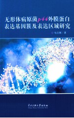 无形体病原菌P44外膜蛋白表达基因簇及表达区域研究 封面