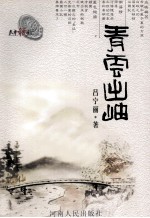 天中税韵系列丛书  青云出岫 封面