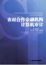 农村合作金融机构计算机审计 封面