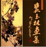 裴玉林画集 封面