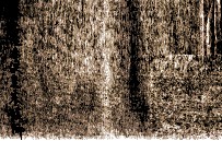 券密电本便查表续编 封面