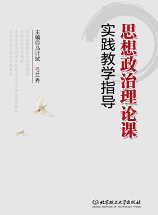 思想政治理论课实践教学指导 封面