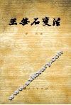 王安石变法 电子书封面